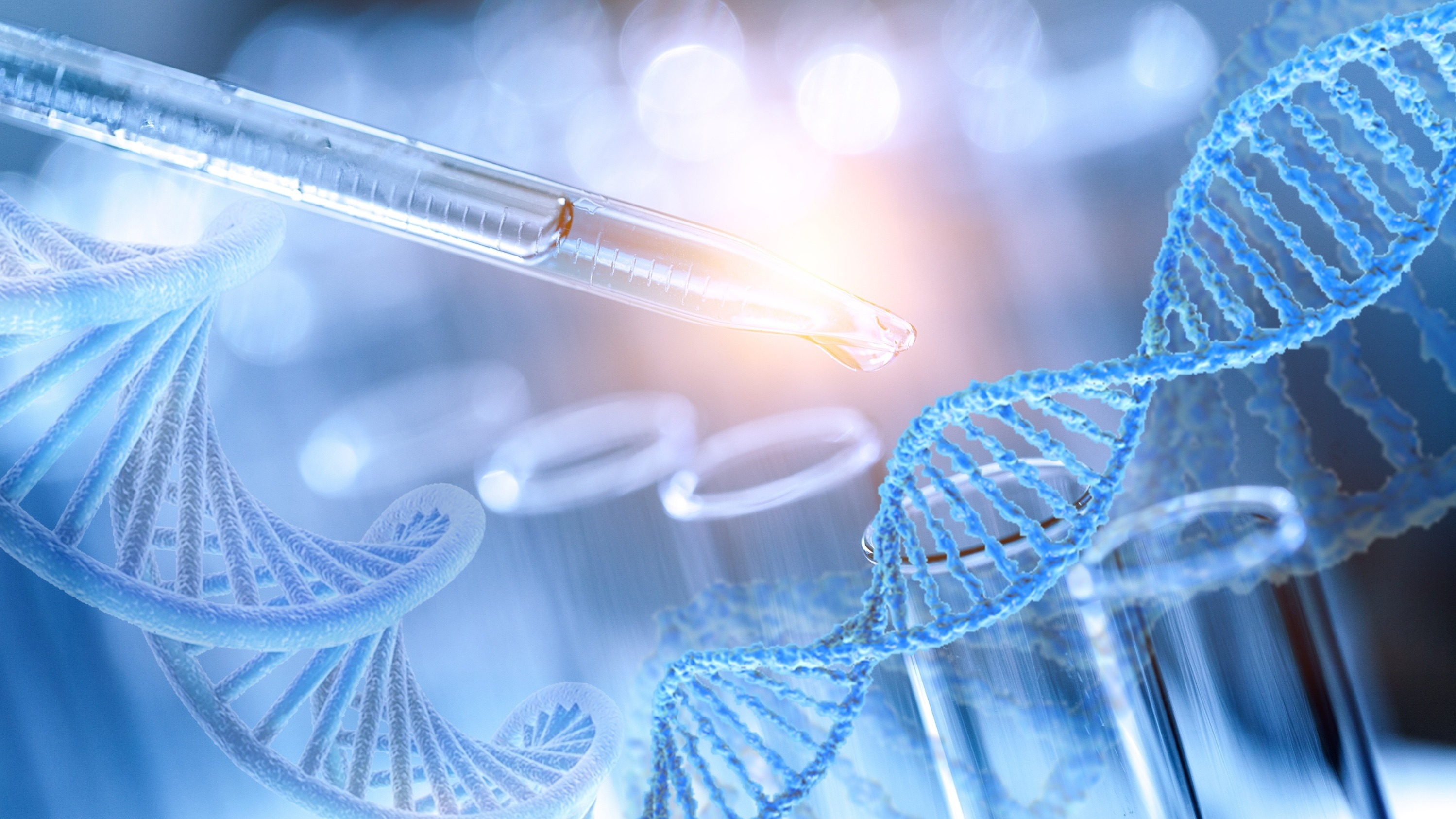 Bac ST2S 2024&nbsp;: découvrez le sujet de chimie, biologie et physiopathologie humaines