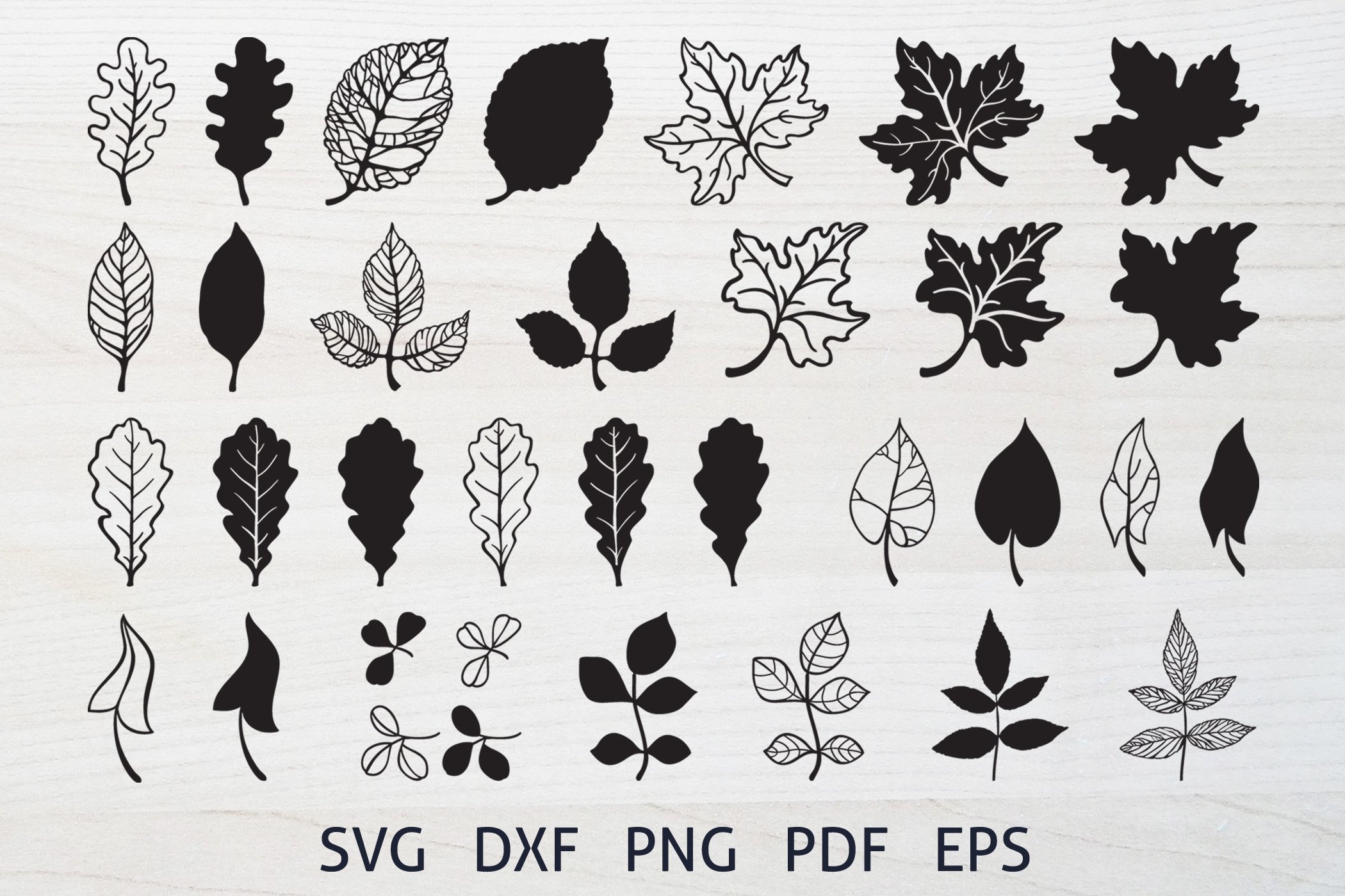 Art & Collectibles Clip Art autumnal leaves svg files autumn leaves svg ...