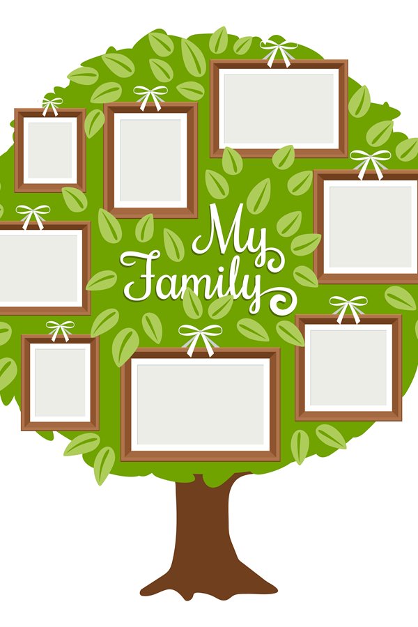 Green family tree with frames