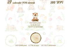 Woodland animals clipart, watercolor forest animals, nursery Product Image 3