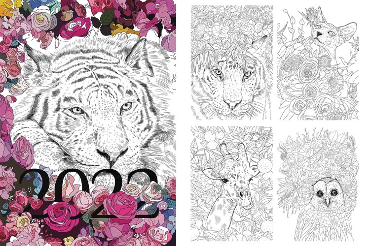 Tiger Coloring Pages Image 7