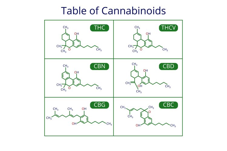 Cannabis skeletal cbd formula. Marijuana molecules vector se