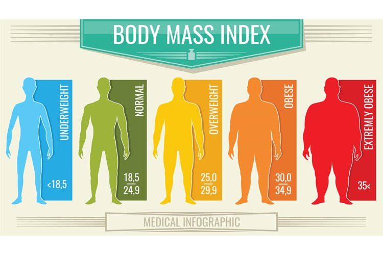 Man body mass index. Vector fitness bmi chart with male silh