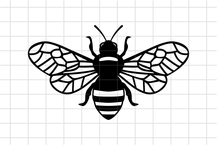 Bee SVG, Honey Bee SVG Cut File, Cricut Cutting File example image 1