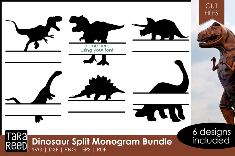 Dinosaur Split Monogram Bundle | Dinosaur Shirts