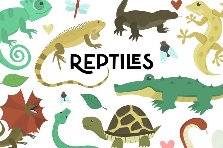 Reptiles Clipart Bundle