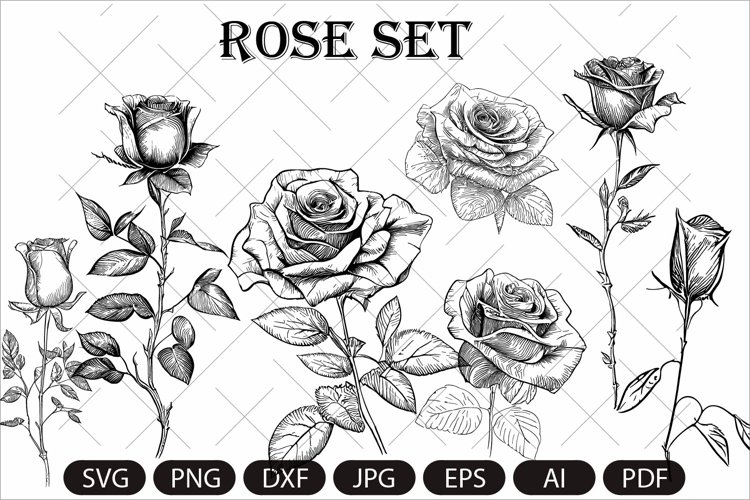 Rose set example image 1