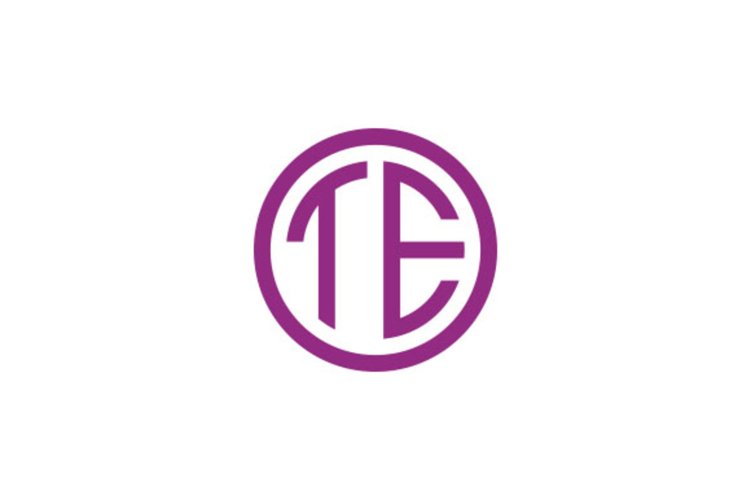 TE logo design example image 1