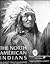 The North American Indians in Early Photographs