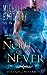 Now or Never (Wizards of Nevermore, #2)