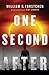 One Second After (After, #1)