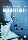 Im Labyrinth by James Dashner