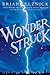 Wonderstruck by Brian Selznick