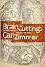 Brain Cuttings: Fifteen Journeys Through the Mind