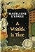 A Wrinkle in Time (A Wrinkle in Time Quintet, #1)