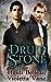 The Druid Stone (Layers of the Otherworld, #1)