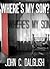 Where's My Son? (Jason Strong, Detective #1)