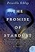 The Promise of Stardust by Priscille Sibley