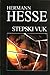 Stepski vuk by Hermann Hesse