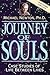 Journey of Souls by Michael   Newton