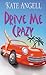 Drive Me Crazy by Kate Angell