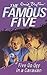 Five Go Off in a Caravan (Famous Five, #5)