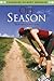 The Off Season by Catherine Gilbert Murdock