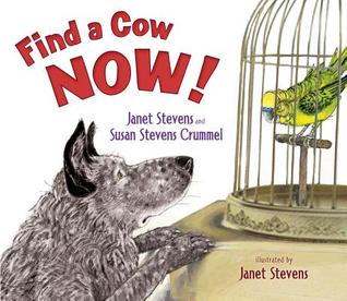 Find a Cow Now! by Janet Stevens