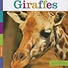 Giraffes by Kate Riggs