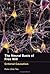 The Neural Basis of Free Wi...