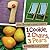 1 Cookie, 2 Chairs, 3 Pears: Numbers Everywhere (Jane Brocket's Clever Concepts)