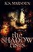 The Shadow Rises (Witch-Hunter, #1)