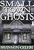 Small Town Ghosts