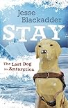 Stay by Jesse Blackadder