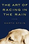 The Art of Racing in the Rain by Garth Stein