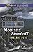 Montana Standoff (Love Inspired Suspense)