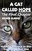 A Cat Called Hope - The Fin...