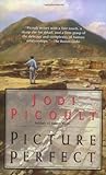 Picture Perfect by Jodi Picoult