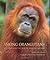 Among Orangutans: Red Apes ...