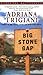 Big Stone Gap (Big Stone Gap, #1)