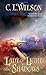 Lady of Light and Shadows (Tairen Soul, #2)