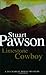 Limestone Cowboy (Charlie Priest, #9)