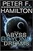 The Abyss Beyond Dreams (Chronicle of the Fallers #1)