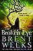 The Broken Eye (Lightbringer, #3)