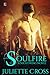 Soulfire (Nightwing, #1)