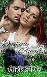 Destiny Awaits by Jaidis Shaw