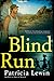 Blind Run by Patricia Lewin