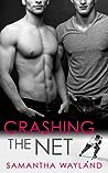 Crashing the Net by Samantha Wayland