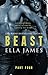 Beast, Part Four (Beast, #4)