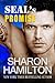 SEAL's Promise ( Bad Boys of SEAL Team 3, #1)